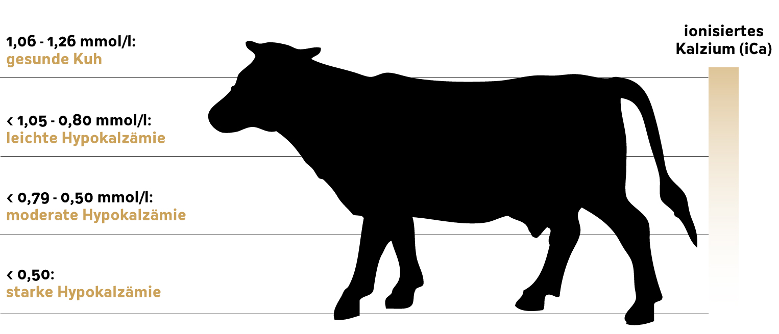 Diagramm zu Werten der Hypokalzämie