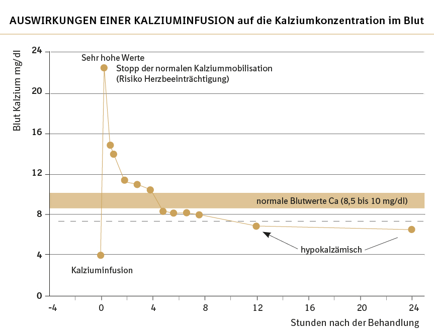 Grafik zu Auswirkungen einer Kalziuminfusion auf die Kalziumkonzentration